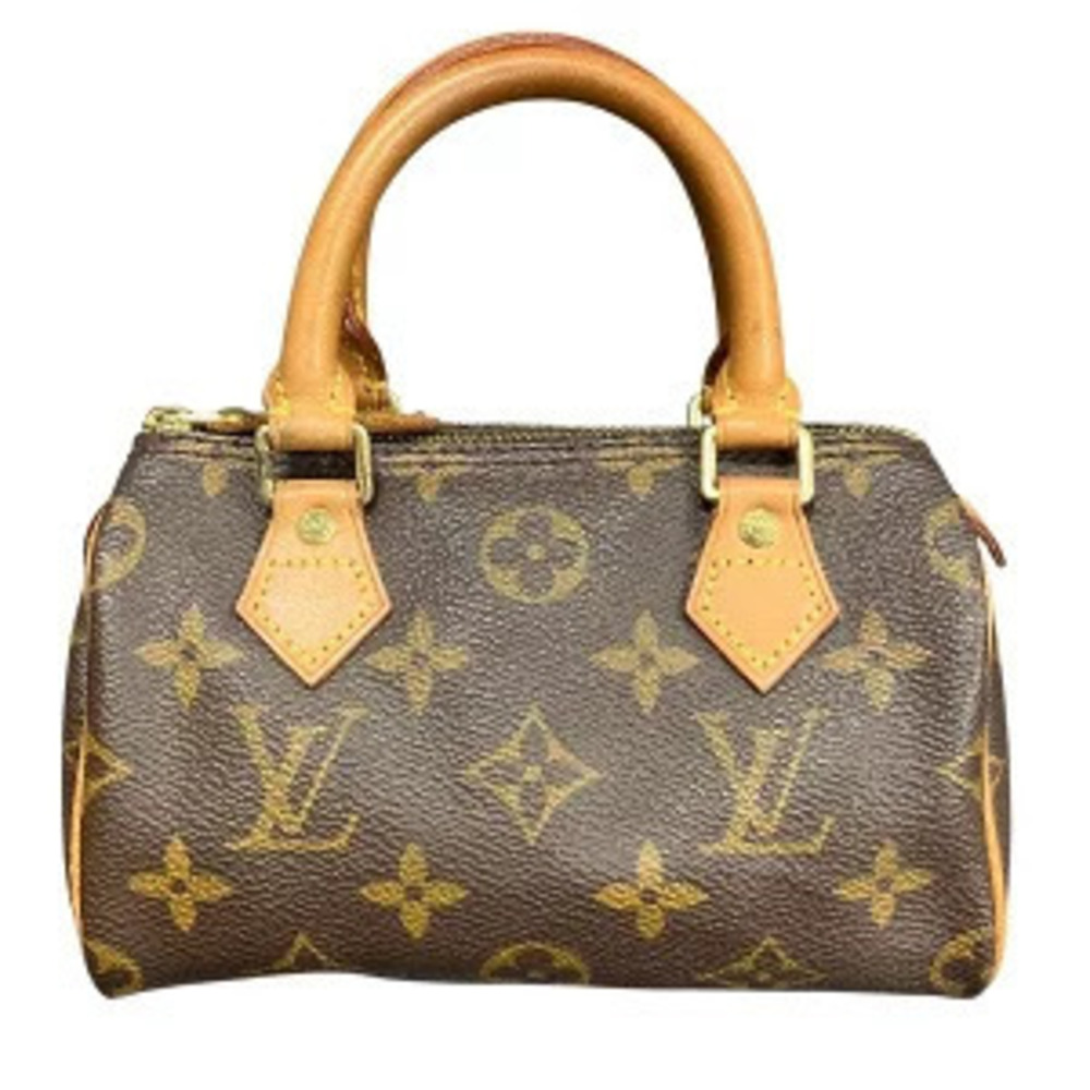 Louis Vuitton Monogram Speedy brown Bag Handbag